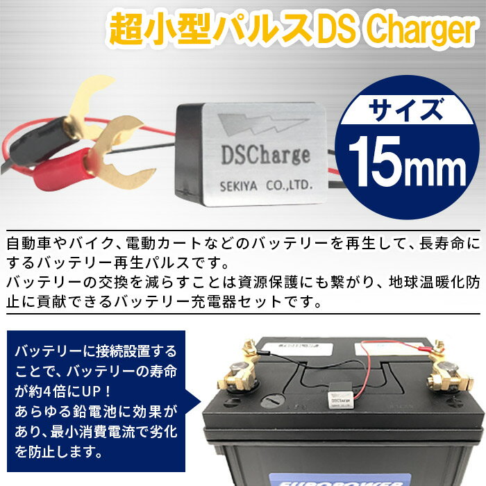 【ふるさと納税】＜超小型パルス DS Chargerバッテリー再生パルス＞※入金確認後、2か月以内に順次出荷します。 防災グッズ 自動車 バイク 資源保護 DSチャージャー バッテリー再利用 長寿命 株式会社関谷 送料無料 宮崎県 国富町 0606_sk