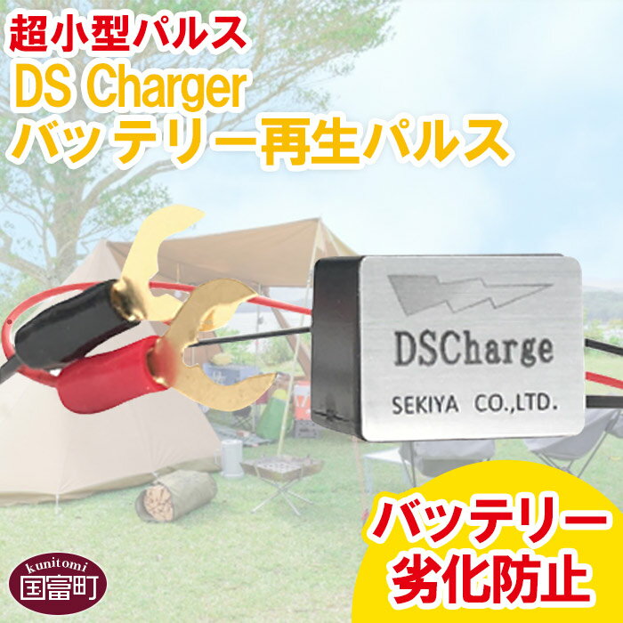 【ふるさと納税】＜超小型パルス DS Chargerバッテリ