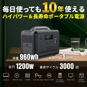 【ふるさと納税】＜ポータブル電源 パススルー式1200W MOSULA＞※入金確認後、翌月末迄に順次出荷 停電 災害 車中泊 キャンプ アウトドア リモートワーク 節電 節約 リチウムイオン電池 株式会社関谷 送料無料 宮崎県 国富町