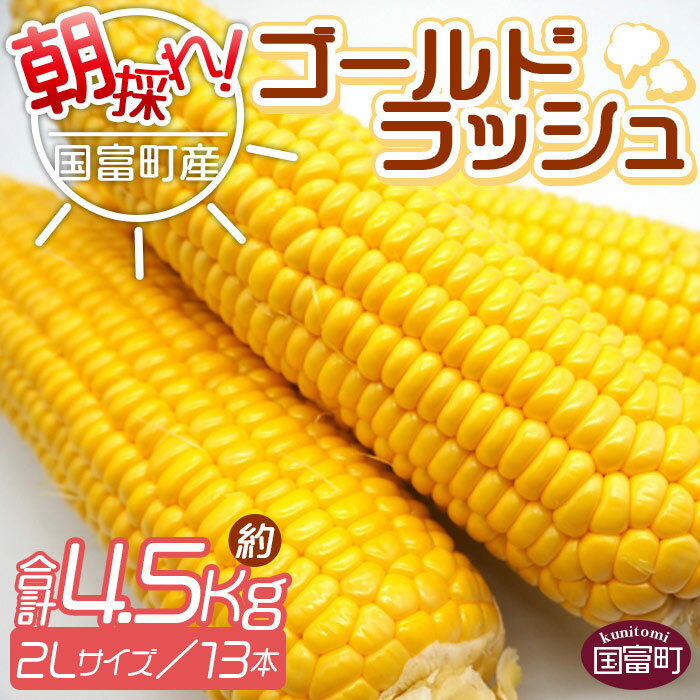 【ふるさと納税】予約受付！＜朝採れ！国富町産ゴールドラッシュ（4.5kg 2Lサイズ 13本）＞※入金確認後、2024年5月下旬～7月上旬迄に順次出荷します。トウモロコシ スイートコーン 野菜 穀物 甘い サンクール・スマイルファーム 宮崎県 国富町【冷蔵】