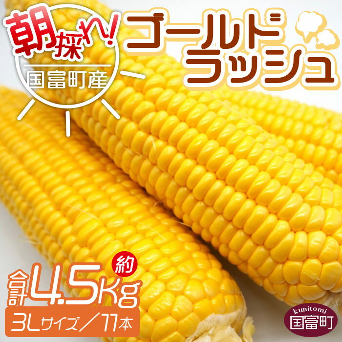 【ふるさと納税】予約受付！＜朝採れ！国富町産ゴールドラッシュ（4.5kg 3Lサイズ 11本）＞※入金確認後、2024年5月下旬～7月上旬迄に順次出荷します。トウモロコシ スイートコーン 野菜 穀物 甘い サンクール・スマイルファーム 宮崎県 国富町【冷蔵】