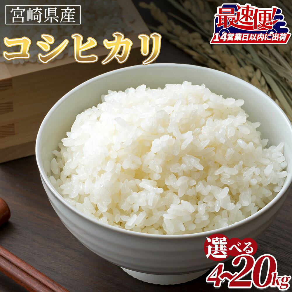 【ふるさと納税】【令和7年度産　宮崎県産コシヒカリ】【スピー