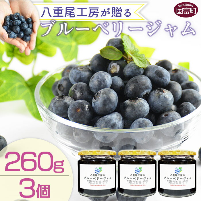 ڤդ뤵ǼǡȬ˼£֥롼٥꡼260g3ġ䢨ǧ塢˽缡в٤ޤե롼Ĳʪ̼£ʪեȬ˼ܺ긩Į0189_yeھﲹ