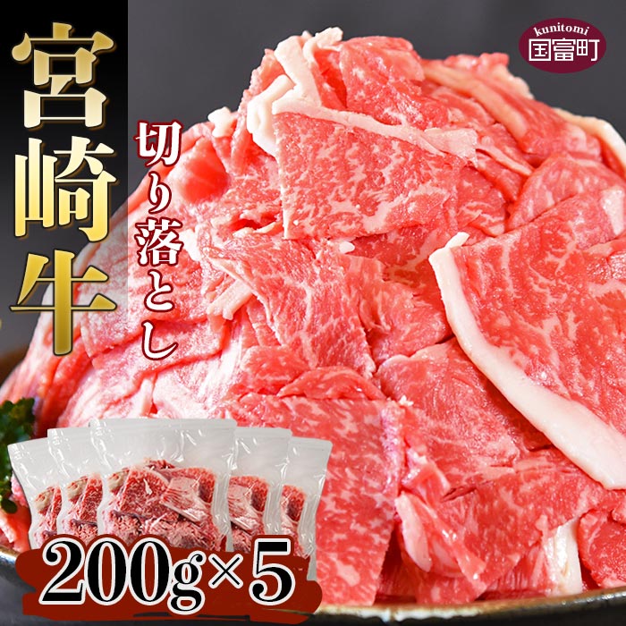 [宮崎牛 切り落とし 合計1kg(200g×5)]※入金確認後、翌月末迄に順次出荷します。牛肉 和牛 黒毛和牛 普段使い 国産 小分け 食材 家庭料理 こま スライス グルメ カレー 肉じゃが 牛丼 煮物 特産品 送料無料 宮崎県 国富町 0331_ty[冷凍]