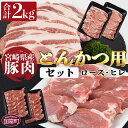 【ふるさと納税】＜宮崎県産豚肉 