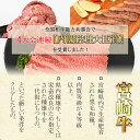 【ふるさと納税】＜宮崎牛ネック・チマキ（すね）煮込み用 800g＞※入金確認後、翌月末迄に順次出荷します。牛肉 赤身 和牛 黒毛和牛 真空 角切り 小分け カット済み カレー シチュー ポトフ 煮込み 食べて応援 国産 特産品 送料無料 宮崎県 国富町 0383_ty【冷凍】 2