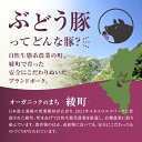 宮崎県綾町の画像2