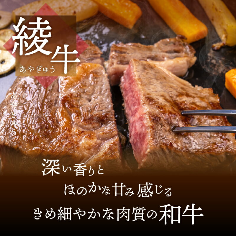 宮崎県綾町の画像2