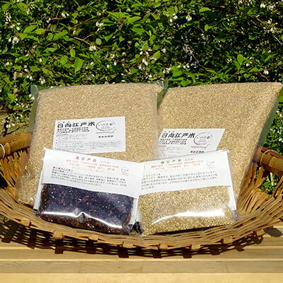 宮崎県綾町の画像2