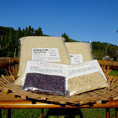 宮崎県綾町の画像3