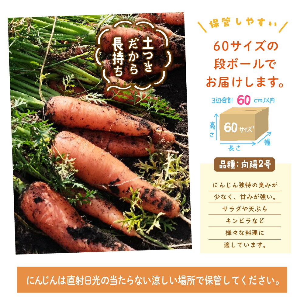 おにぎり坊主の土つき有機にんじん
