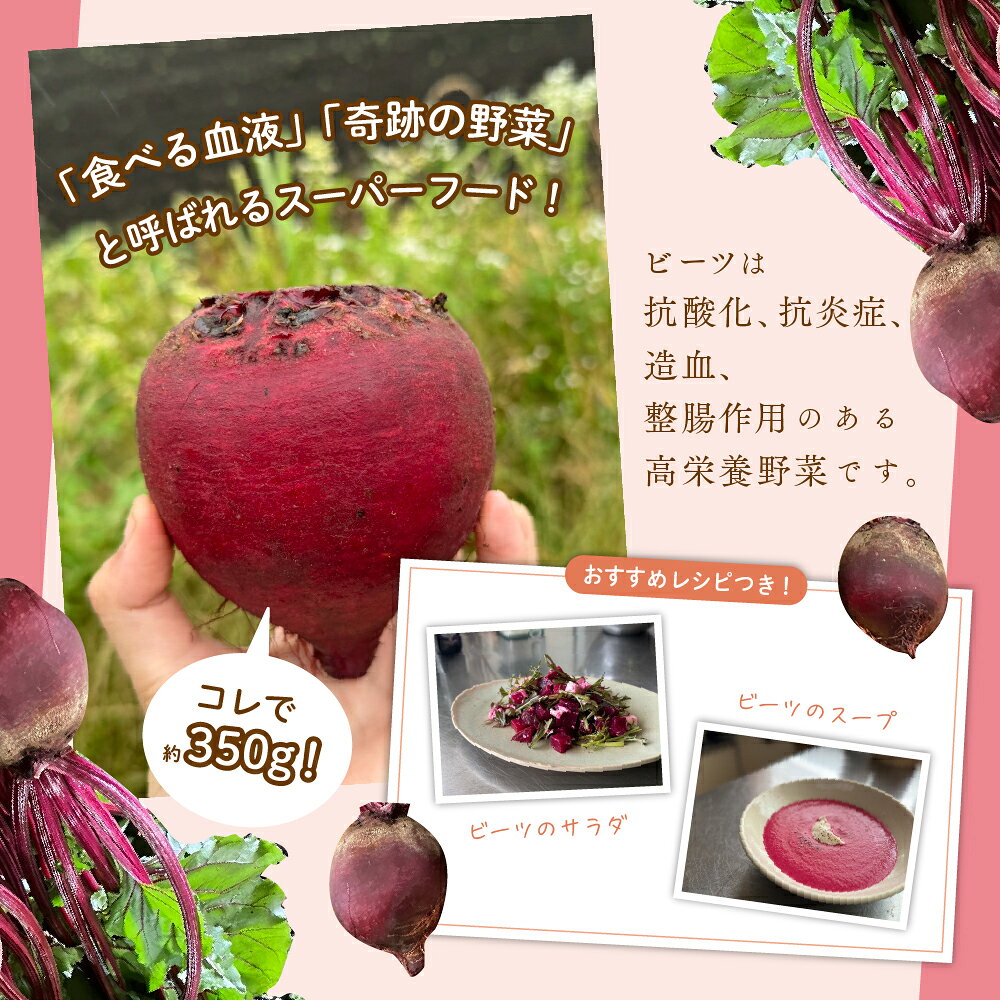 【ふるさと納税】 綾町産 ビーツ 2kg おすすめレシピ付き 国産ビーツ 有機野菜 オーガニック野菜 無農薬野菜 化学農薬不使用 化学肥料不使用 高栄養野菜 抗酸化 健康食品 栄養豊富 スムージー ホイル焼き 産地直送 お取り寄せ 人気 おすすめ 宮崎県 送料無料