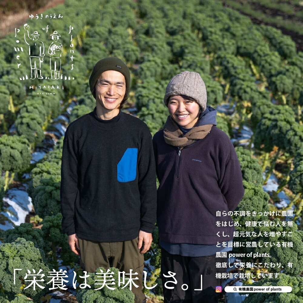 宮崎県綾町の画像3