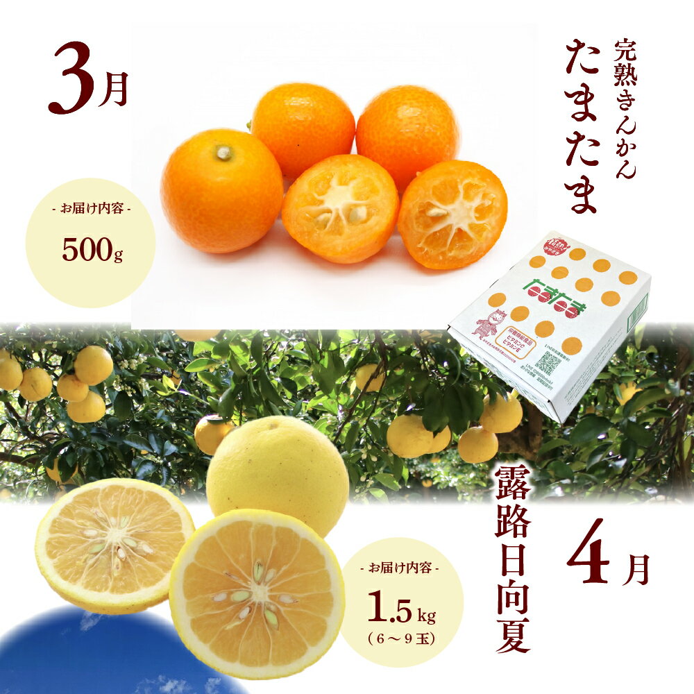 宮崎県綾町の画像3