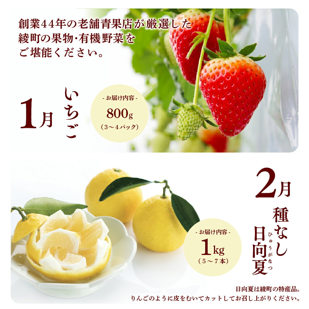 【ふるさと納税】【全10回お届け】宮崎県綾町産 果物・野菜定期便 [X21]　野菜定期便 果物定期便 野菜 セット 詰め合わせ 定期便 野菜 果物 定期 送料無料