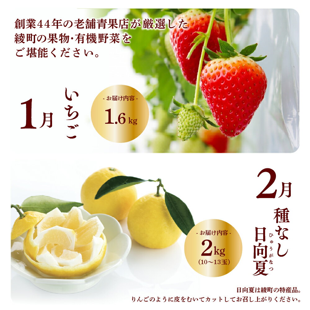 【ふるさと納税】【全8回お届け】特選！！宮崎県綾町産 果物・野菜定期便 [Y20]　野菜定期便 果物定期便 野菜 セット 詰め合わせ 定期便 野菜 果物 定期 送料無料