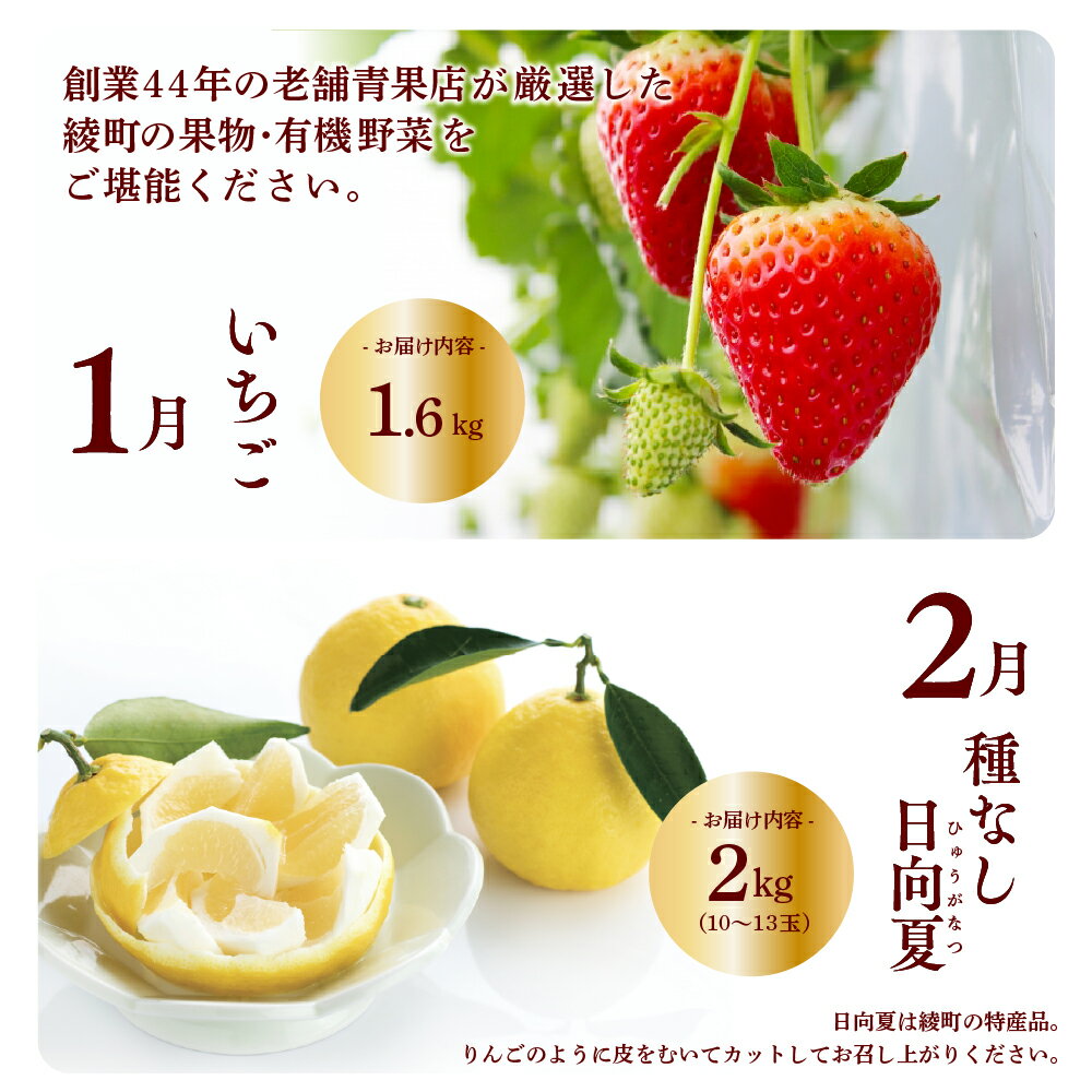 【ふるさと納税】【全10回お届け】特選！！宮崎県綾町産 果物・野菜定期便 [Y21]　野菜定期便 果物定期便 野菜 セット 詰め合わせ 定期便 野菜 果物 定期 送料無料