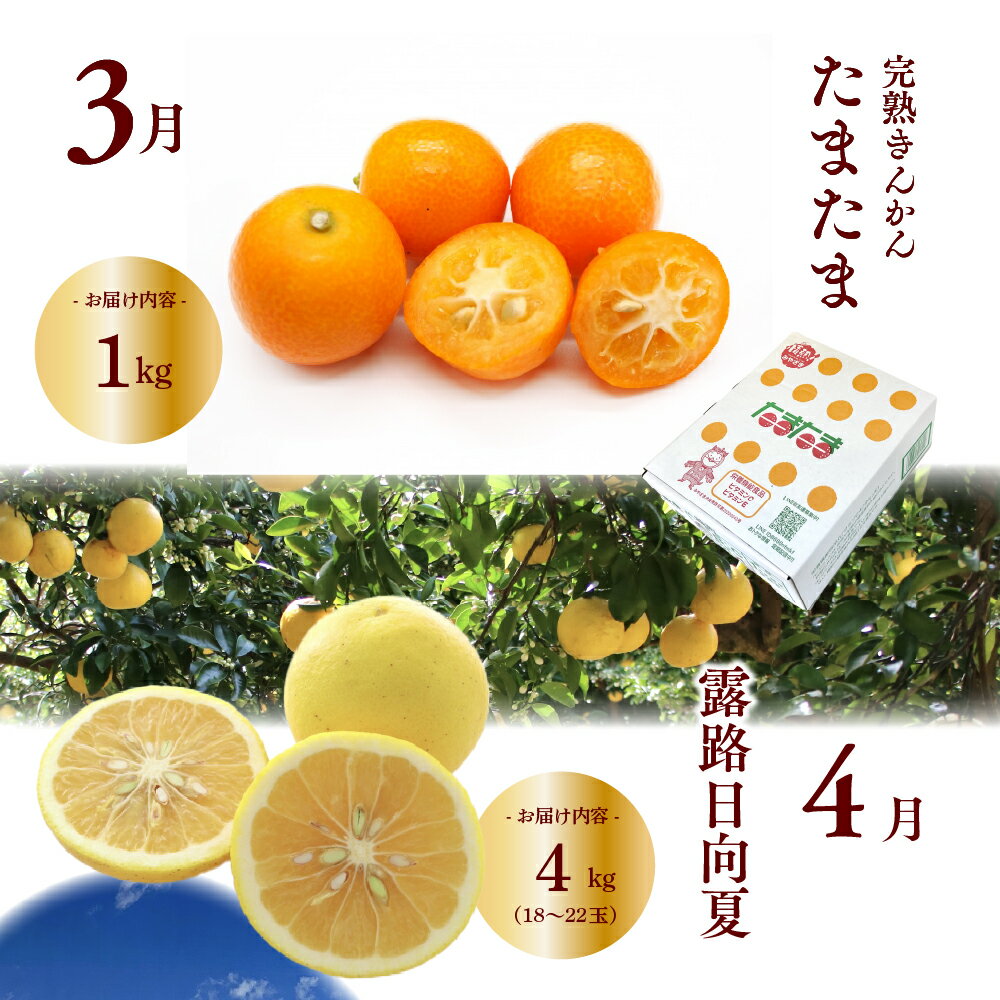 【ふるさと納税】【全10回お届け】特選！！宮崎県綾町産 果物・野菜定期便 [Y21]　野菜定期便 果物定期便 野菜 セット 詰め合わせ 定期便 野菜 果物 定期 送料無料