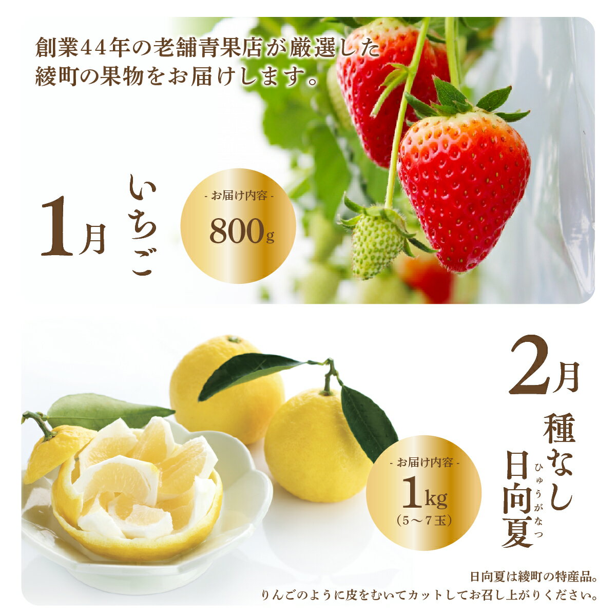 宮崎県綾町の画像2