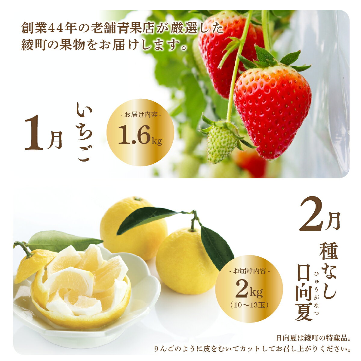 宮崎県綾町の画像2