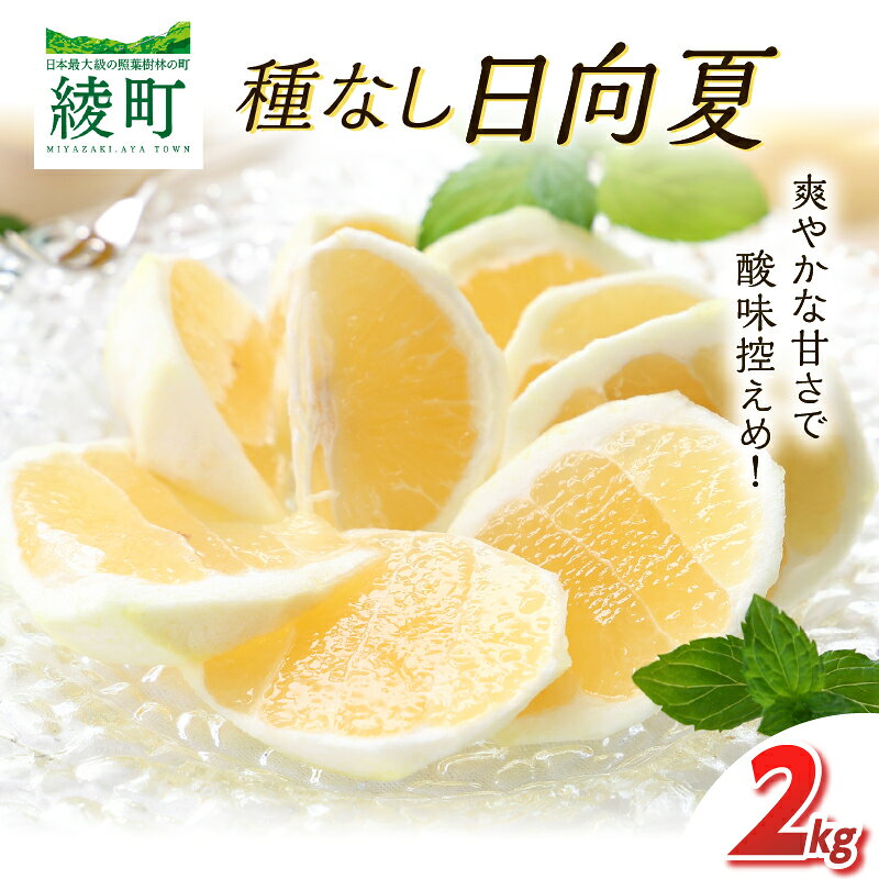 先行受付 初春の旬 日向夏 種なし 2kg [H20] 果物 フルーツ くだもの 2027年 柑橘 みかん 国産 フルーツサンド ジュース おやつ スイーツ デザート ジャム さわやかな甘み おすすめ ギフト 贈り物 贈答 ご褒美 おすそ分け お返し 宮崎県 綾町 送料無料
