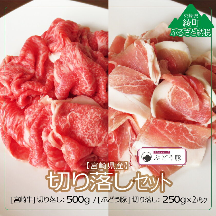 綾ぶどう豚 宮崎牛 切り落し 食べ比べ セット 1kg 小分け 豚肉 希少 ブランド豚 牛肉 A4A5等級 黒毛和牛 内閣総理大臣賞 宮崎県 送料無料(36-196)