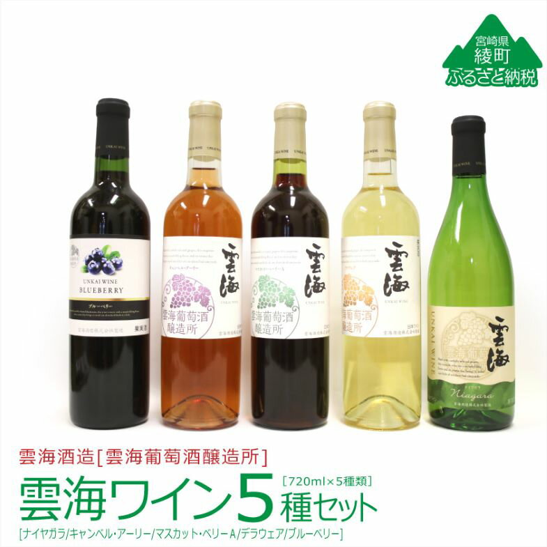 雲海葡萄酒醸造所 ワインセット5種 国産100% 赤 白 飲み比べ (02-107)