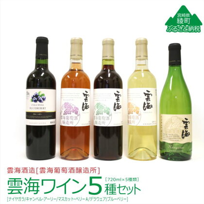 雲海葡萄酒醸造所 ワインセット5種 国産100％ 赤 白 飲み比べ （02-107）