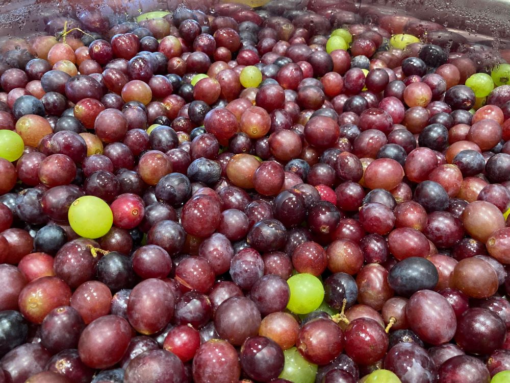 宮崎県綾町の画像2