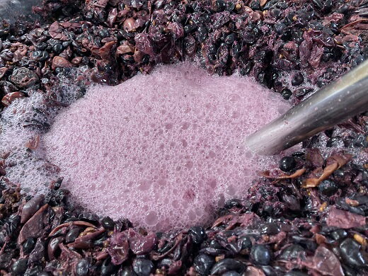 宮崎県綾町の画像2