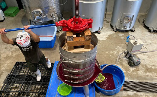 宮崎県綾町の画像3