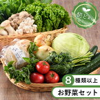 【ふるさと納税】 綾町 旬 新鮮 お試し 野菜 セット 詰め合わせ 採れたて 栽培期間中 無農薬 減農薬 Sサイズ おまかせ 美味しい 直送（53-36）