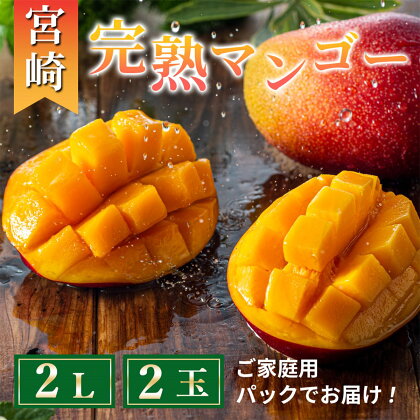 完熟 マンゴー 2L 2玉 700g以上 濃厚 宮崎 高級 果物 フルーツ 贈答 ギフト 甘い 先行受付 送料無料（14-69）