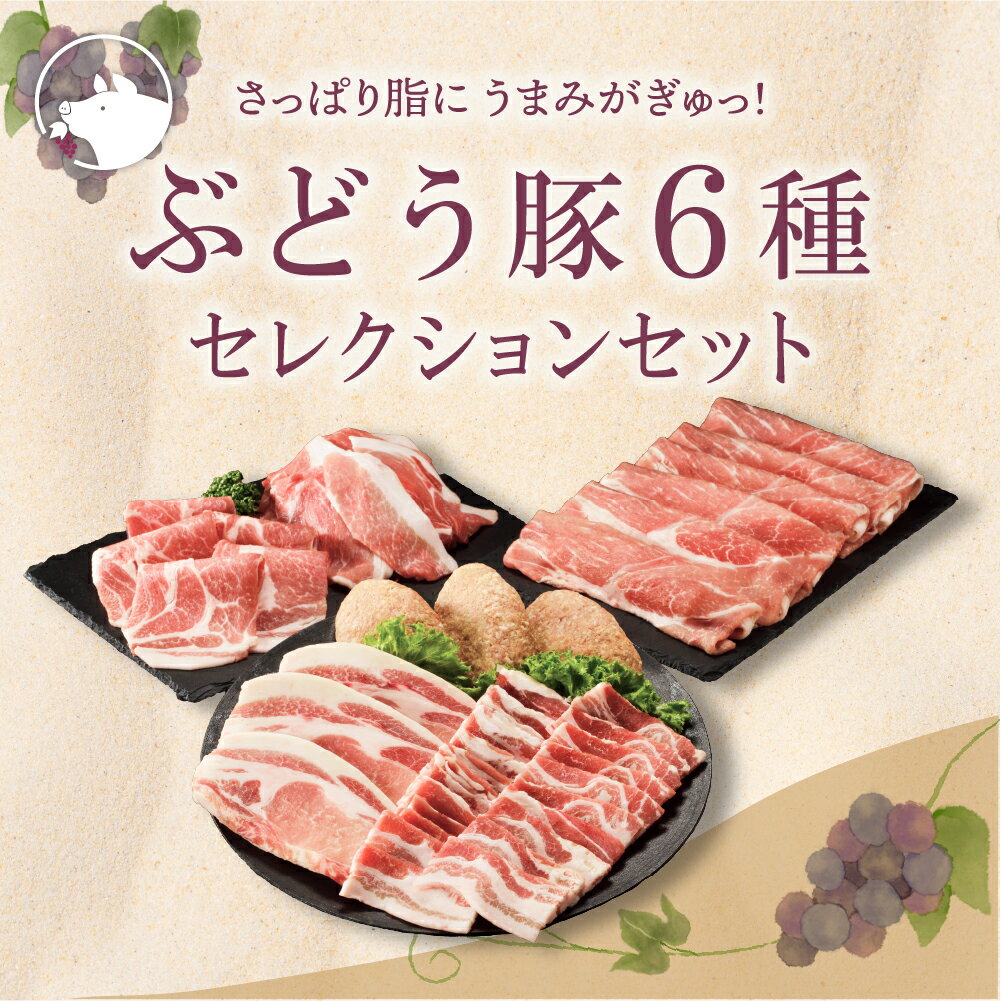 【ふるさと納税】国産 豚肉 ブランド 豚 綾ぶどう豚 食べつくし セレクション セット 1.7kg 小分け バラエティー 詰め合わせ とんかつ 生姜焼き 焼肉 しゃぶしゃぶ ハンバーグ 調理 日時 指定 可能（22-33）