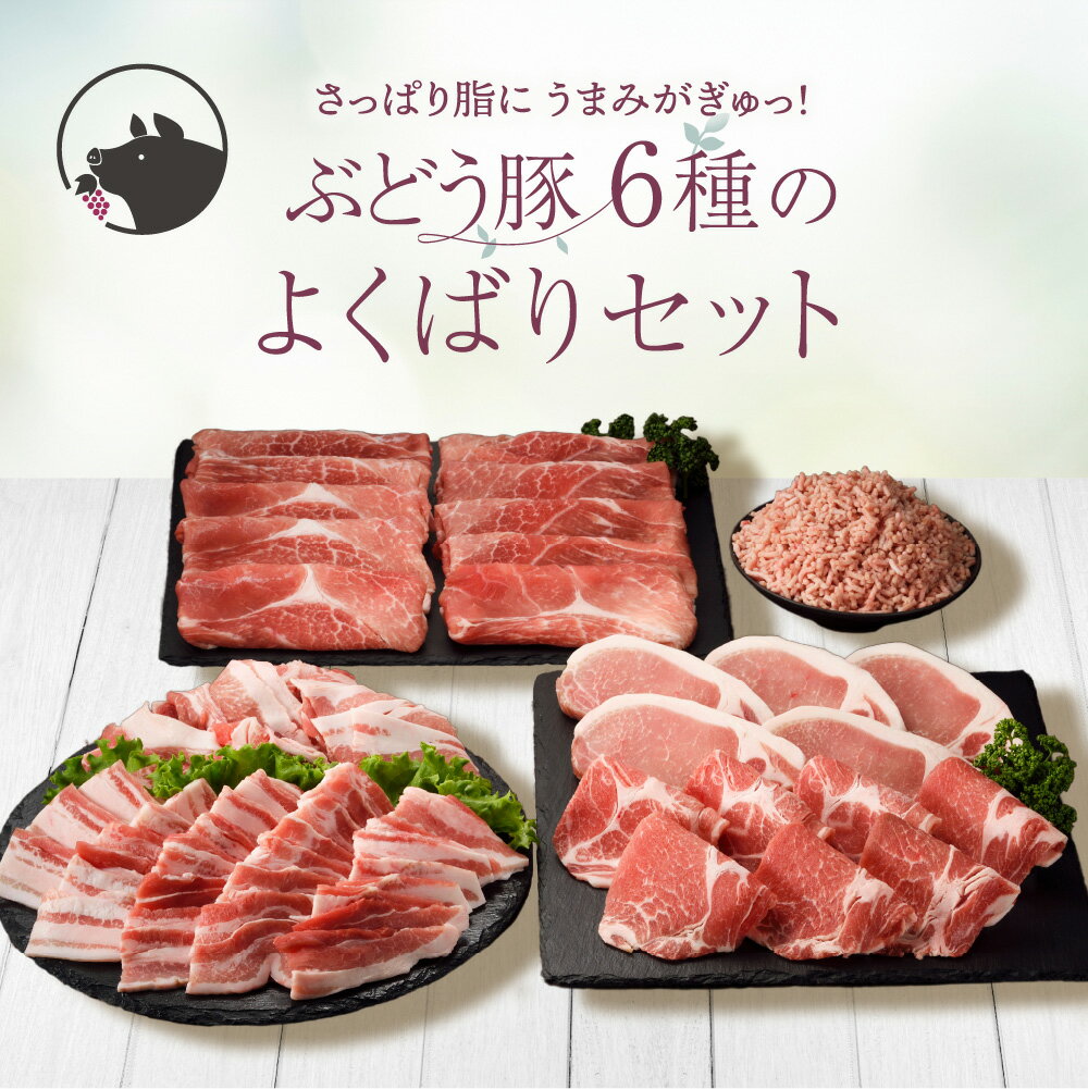 国産 豚肉 ブランド 豚 綾ぶどう豚 詰め合わせ よくばり セット 2.7kg 小分け 調理 バラエティー とんかつ 生姜焼き 焼肉 ミンチ 日時 指定 可能(22-35)