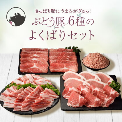 国産 豚肉 ブランド 豚 綾ぶどう豚 詰め合わせ よくばり セット 2.7kg 小分け 調理 バラエティー とんかつ 生姜焼き 焼肉 ミンチ 日時 指定 可能（22-35）