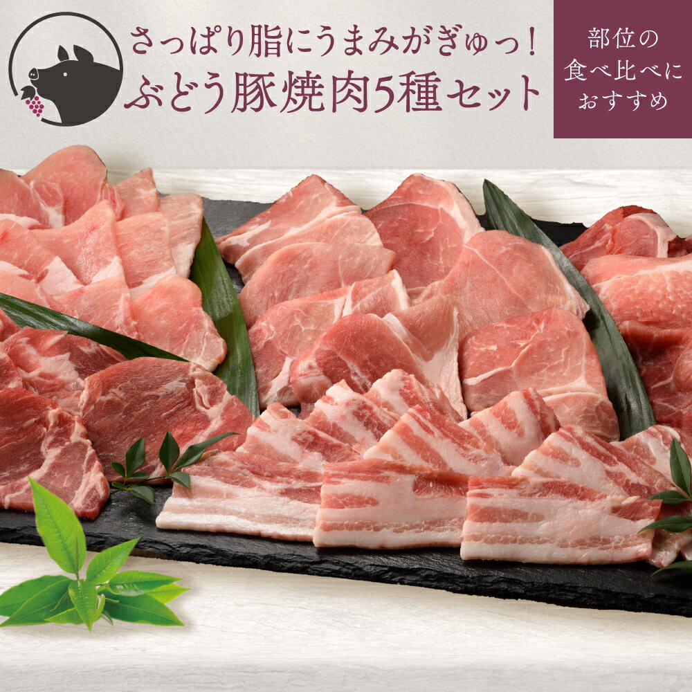 【ふるさと納税】国産 豚肉 ブランド豚 綾ぶどう豚 焼肉 食