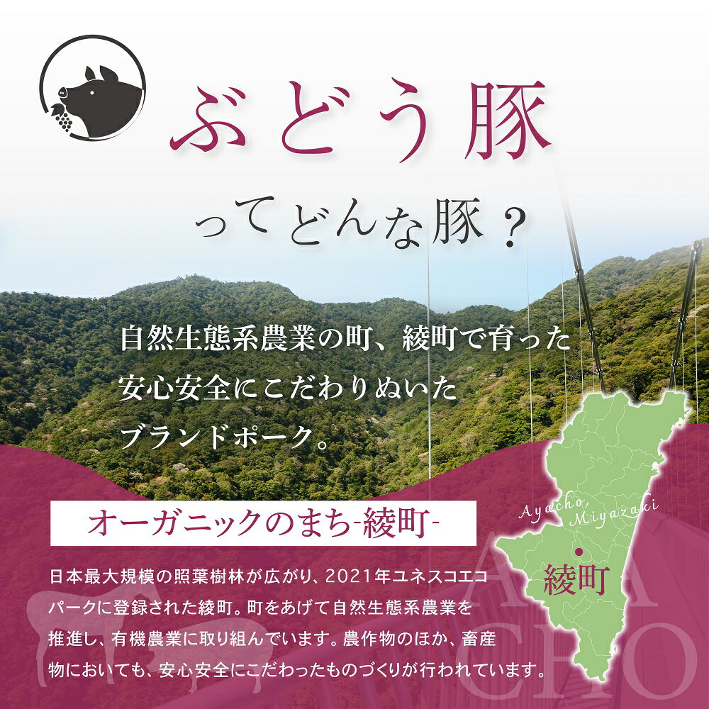 【ふるさと納税】国産 豚肉 ブランド 豚 綾ぶどう豚 食べつくし セレクション セット 1.7kg 小分け バラエティー 詰め合わせ とんかつ 生姜焼き 焼肉 しゃぶしゃぶ ハンバーグ 調理 日時 指定 可能（22-33） 3