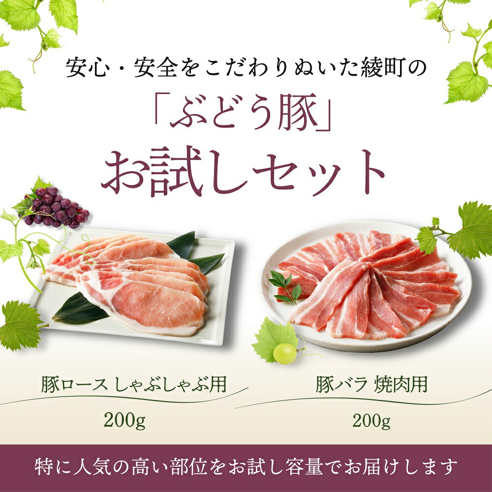 【ふるさと納税】国産 豚肉 ブランド 豚 綾ぶどう豚 お試し セット バラ 焼肉 ロース しゃぶしゃぶ 豚肉 食べ比べ 日時 指定 可能