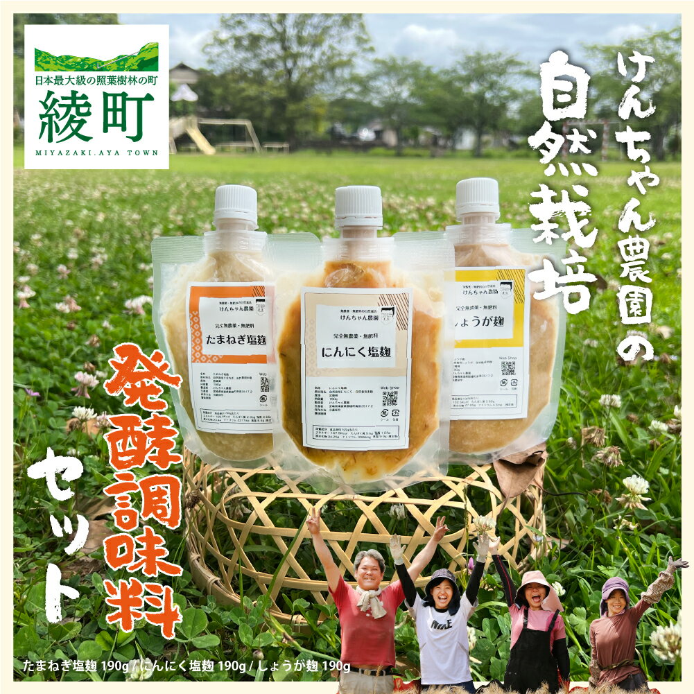 【ふるさと納税】けんちゃん農園 塩麹 3種 腸活 セット