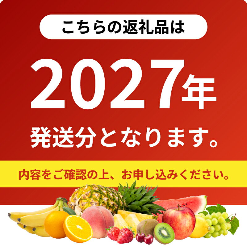 【ふるさと納税】先行予約 《選べる内容量》 数量限定 希少 国産 綾 生ライチ 化粧箱入り 大粒 果物 フルーツ くだもの 国産ライチ 2027年 トロピカルフルーツ 南国フルーツ 冷蔵 ジューシー 高級 デザート ギフト 贈り物 プレゼント ご褒美 宮崎県 送料無料 【JA綾町】 f453838-aya-10000663 宮崎県綾町 サンプル画像2