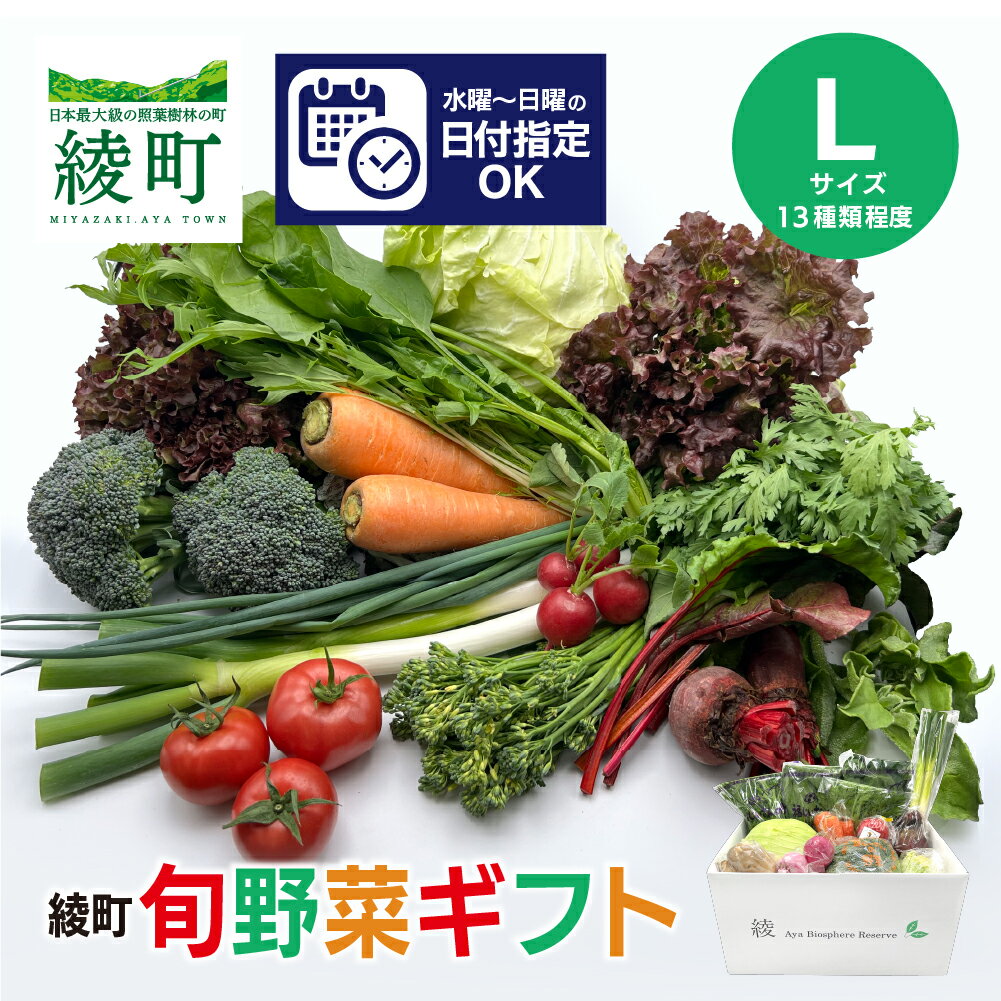 【ふるさと納税】 綾町 旬 野菜 ギフト Lサイズ 詰め合わせ セット 無農薬 減農薬 おまかせ お試し 新鮮 美味しい 04-69 