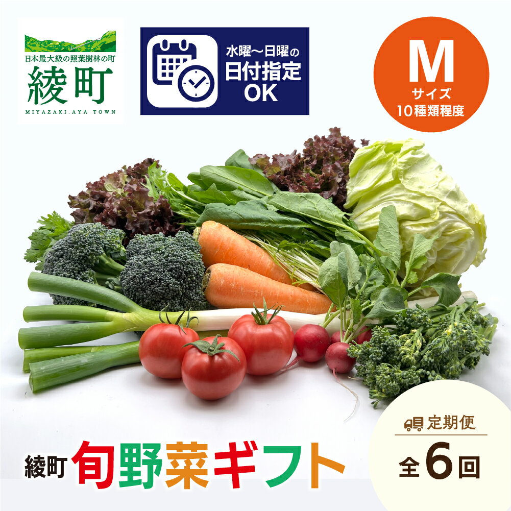 【ふるさと納税】綾町 旬 野菜 ギフト 全6回 定期便 Mサイズ 詰め合わせ 無農薬 減農薬 おまかせ 新鮮 美味しい セット 04-72 