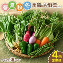 【ふるさと納税】〈サイズが選べる!〉春夏秋冬 季節のお野菜セット【全4回定期便】 宮崎県 7~8種 10種 12種 定期便 詰め合わせ 新鮮 産地直送 おまかせ 季節の野菜 農家直送 有機栽培 ふるさと納税 送料無料【オーガニックのまち 宮崎県綾町】