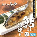 【ふるさと納税】鮎 塩焼き 焼き鮎 5匹 冷凍 香ばしい（15-17）