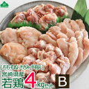 【ふるさと納税】宮崎県産若鶏4kgセットB 鶏肉 モモ肉 ム