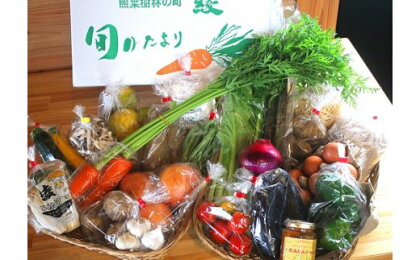 旬 おまかせ 詰め合わせ こだわり農家の野菜＆ジャム＆加工品セット 無農薬 減農薬（05-12）