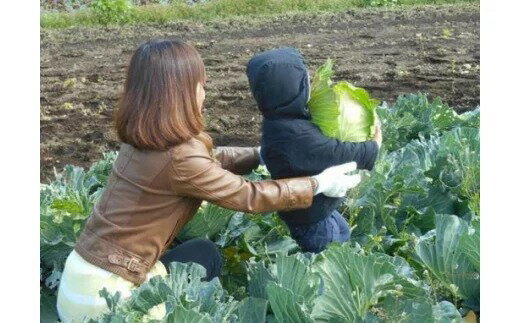 新鮮 貴重 野菜 無農薬農家の農業体験 ランチ付き(05-14)