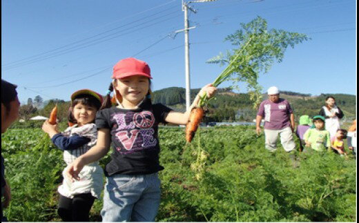 【ふるさと納税】新鮮 貴重 野菜 無農薬農家の農業体験　ランチ付き（05-14）その2