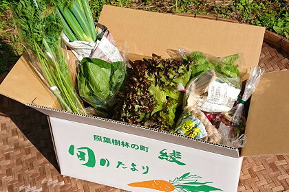 こだわり 農家の野菜＆ジャム 詰め合わせ セット 旬 新鮮 おまかせ（05-11）